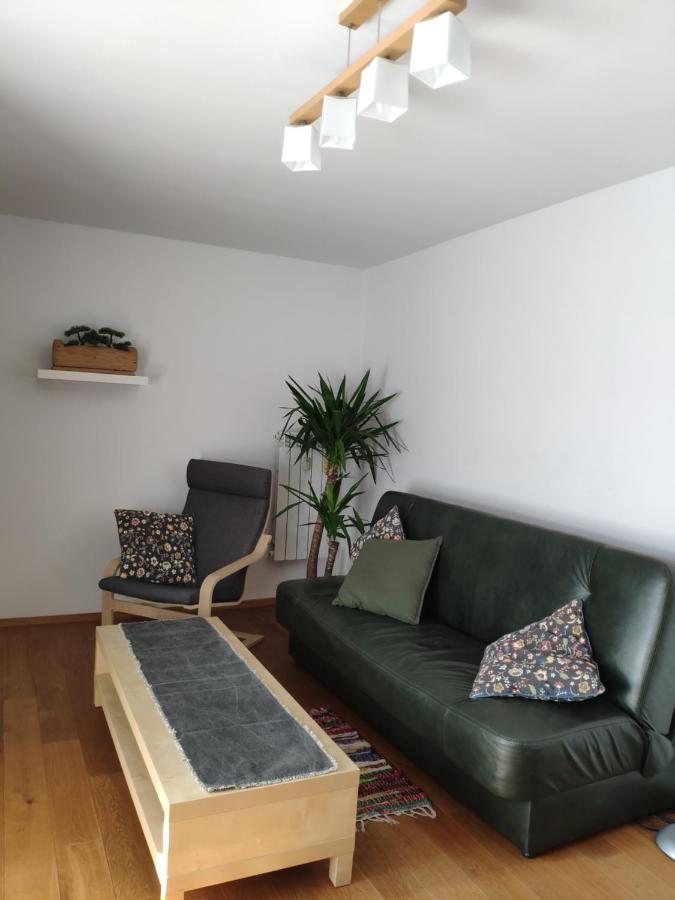 Rupicapra Apartment Закопане Екстериор снимка